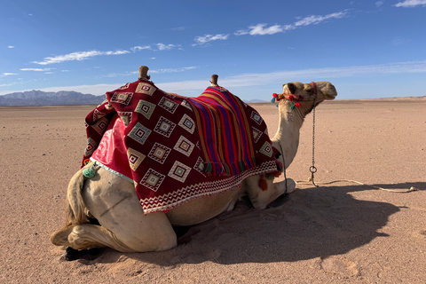 Hurghada: Camel Ride & horse ride and Off-Road Jeep Tour pickup from hotels inside hurghada