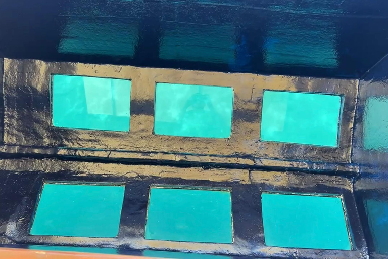 Dubrovnik: GlassBoat Panorama/Sunset Tour with Guide & Caves