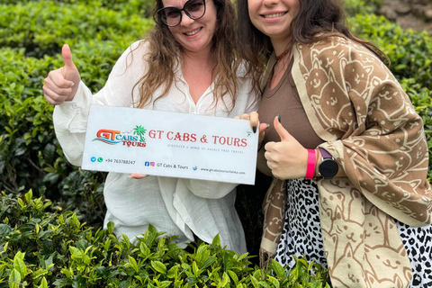 Pasikuda: Sigiriya lion Rock, Village tour & Safari tour