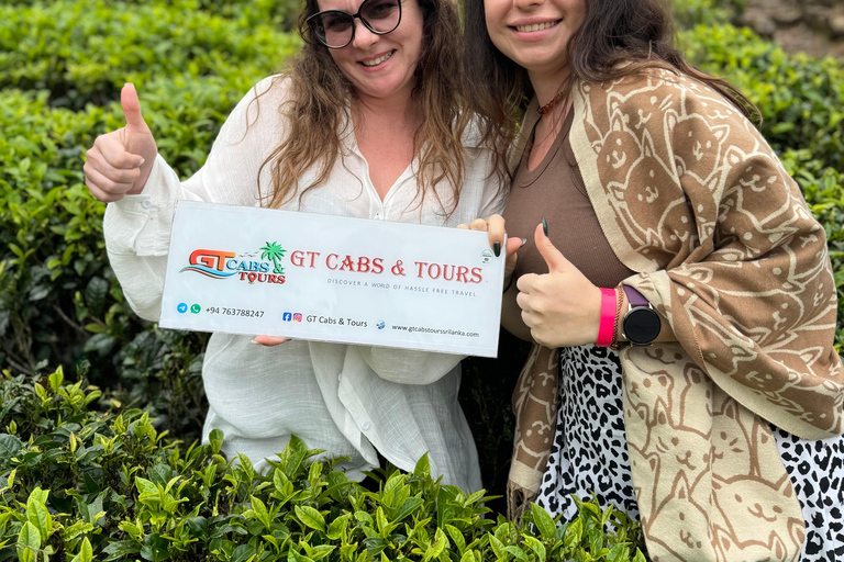 Pasikuda: Sigiriya lion Rock, Village tour & Safari tour