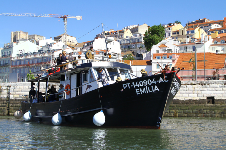 From Lisbon: Cascais Express Scenic Cruise Cascais Express Scenic 2 Hour Cruise from Lisbon