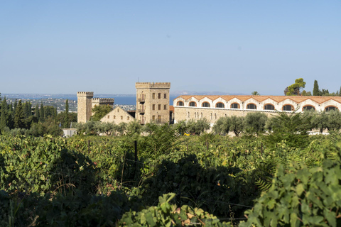 Patras: City Tour with Optional Visits and Wine Tasting