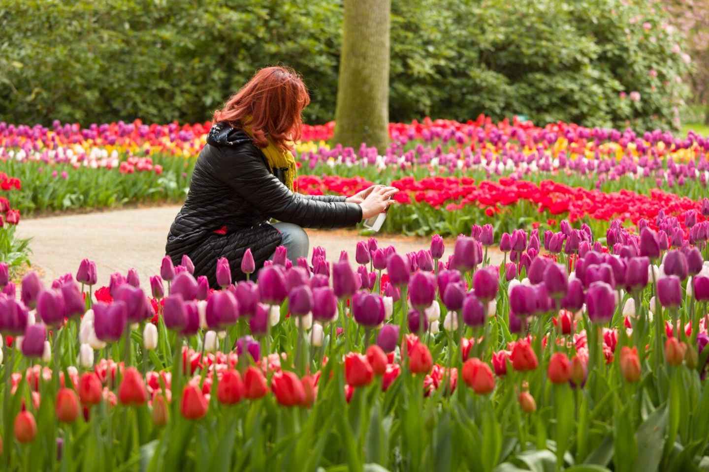 Magical Delft and the Keukenhof Estate: Tulips Galore