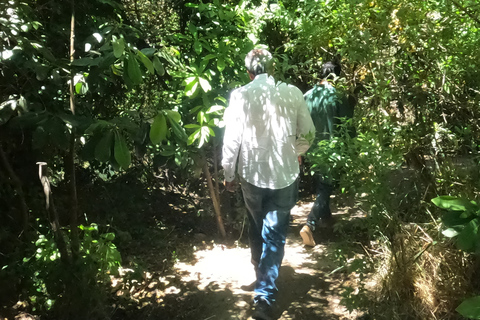 Curacaví Valley: Private Wine Tour of Viña Lopez Pangue and El Cuadro Curacaví Valley: Private Wine Route Tour - Viña Lopez Pangue and El Cuadro