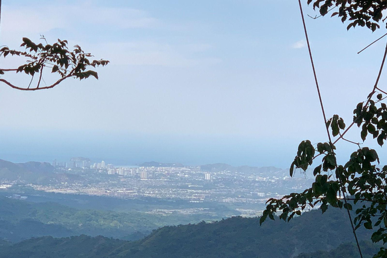 Tournée du café et du cacao à Minca !