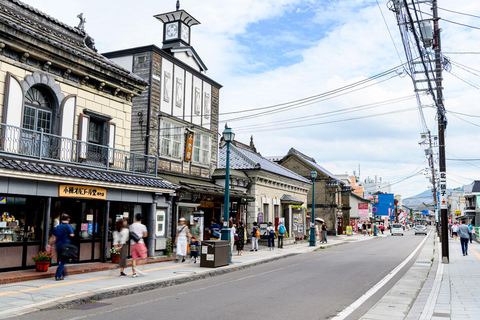 Otaru, Shakotan & Yoichi Distillery Day Tour (Ch/En Guide)
