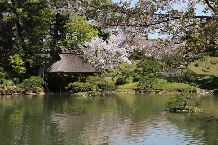Private Shore Excursion: Hiroshima Highlights