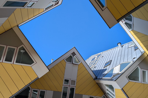 Rotterdam narrated by a French tour guide