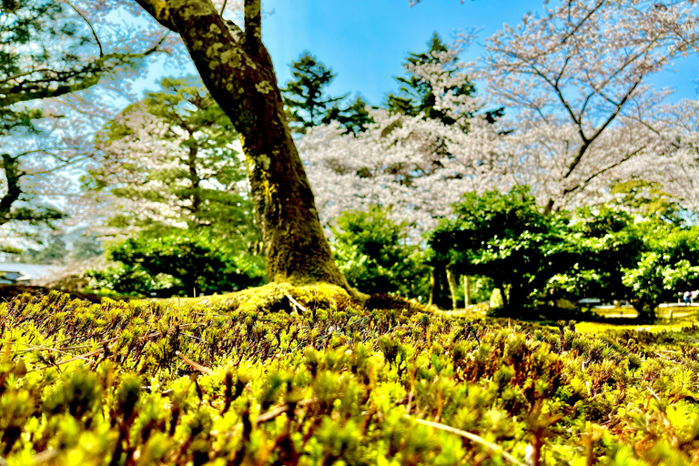 Kanazawa : visite privée d'une jounée pour découvrir les principaux sites touristiquesKanazawa : visite privée d'une jounée des principaux sites touristiques