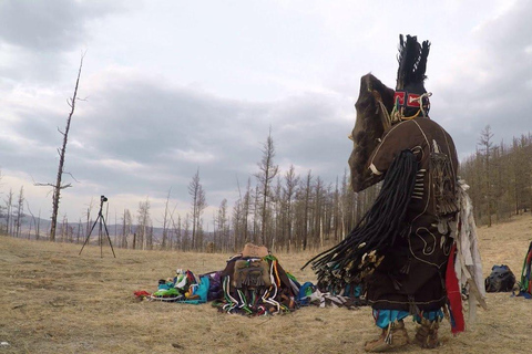 أولان باتور: لقاء مباشر مع شامان منغولي حقيقي