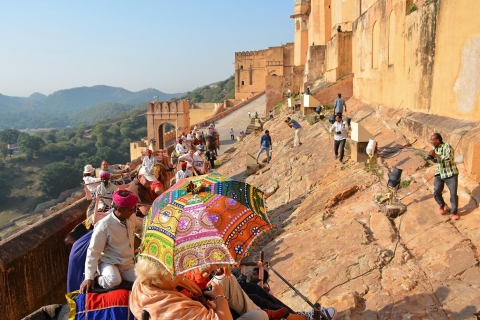 Jaipur: Privétour door roze stad met auto en chauffeurJaipur: privérondleiding door de roze stad met een professionele gids