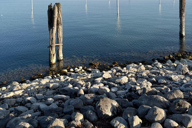 From Basel: 4 Countries and Lake Bodensee Private Tour