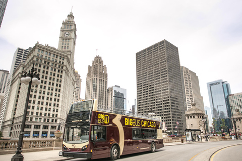 Chicago: Crucero por el río de la Arquitectura y tour con autobús libres