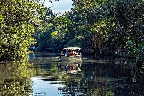 Rio de Janeiro: Ilha da Gigóia Canals and Wildlife Tour