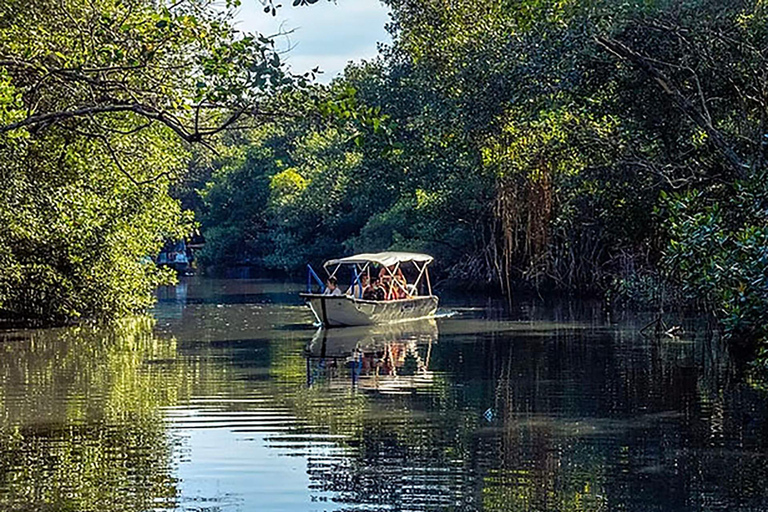 Rio de Janeiro: Ilha da Gigóia Canals and Wildlife Tour