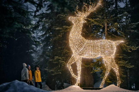 Vancouver : Tour en trolley des lumières de Noël avec karaoké