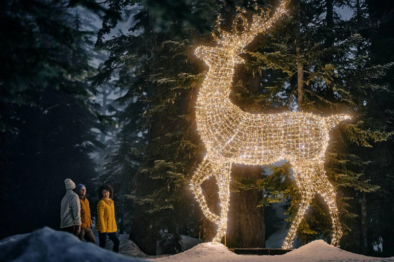 Vancouver : Tour en trolley des lumières de Noël avec karaoké