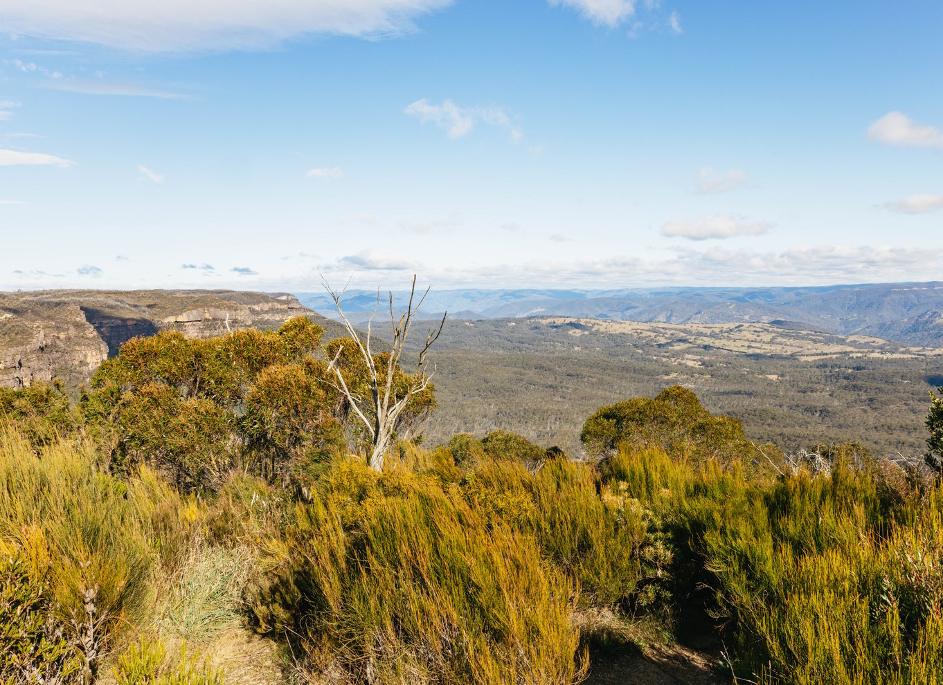 Katoomba: Lyrebird Hop-On Hop-Off og Scenic World Pass