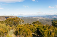Katoomba, Lyrebird Hop-On Hop-Off et Scenic World Pass - Hizvo