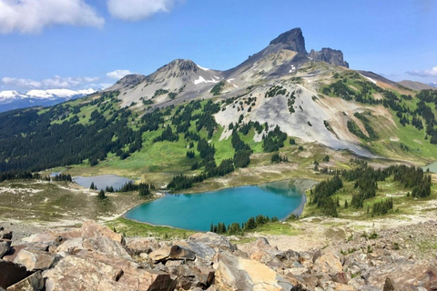 Vancouver: Panorama Ridge Private Guided Hiking Tour
