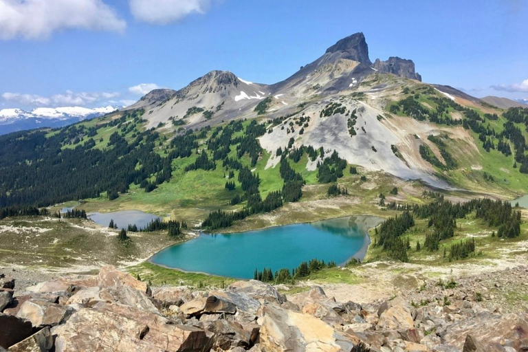 Vancouver: Panorama Ridge Private Guided Hiking Tour