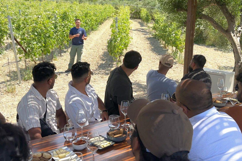 HERAKLION: Wine tasting at Douloufakis Vineyards ARISMARI