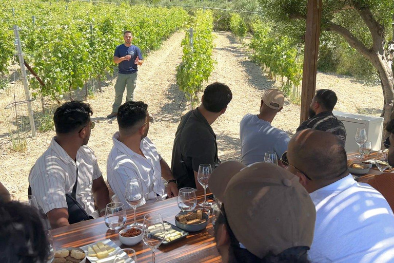 HERAKLION: Wine tasting at Douloufakis Vineyards ARISMARI
