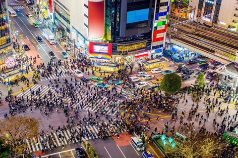 Tokyo: Private 1-Day Tour with English-Driver, Customizable