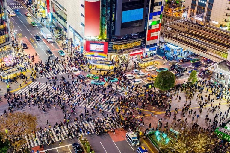Tokyo: Private 1-Day Tour with English-Driver, Customizable