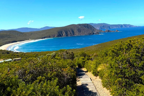 Bruny Island Discovery Day Tour