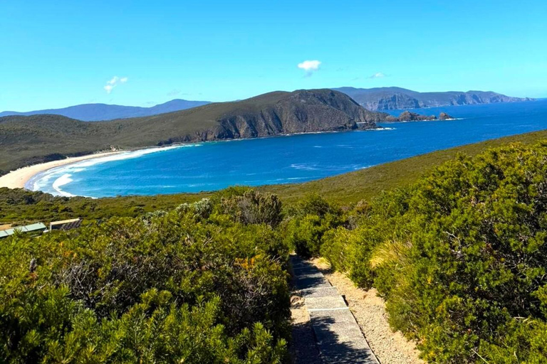 Bruny Island Discovery Day Tour