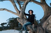 Monterey, Carmel, 17 Mile DR, Big Sur & McWay Falls Pvt Tour - Housity