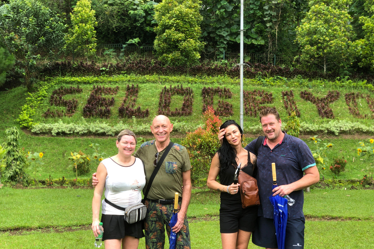 Yogyakarta: Borobudur Climb Up & Selogriyo Rice Terrace Tour
