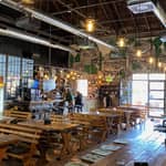 Belgrado: tour guidato e degustazione di birra nel birrificio Dogma