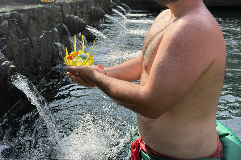 Ubud: Private Half-Day Tour Rice Terrace, Temple & Waterfall Private Ubud Half-Day Tour (Without Entrance Ticket)