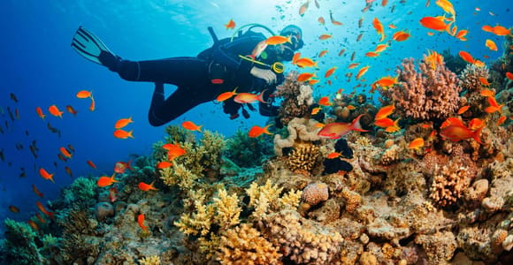 Phu Quoc: Scuba Diving with Optional Self-Funded Parasailing at Roi Island