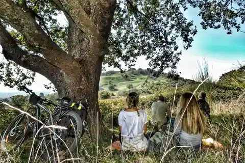Rome: Frascati Wijngaard Fietstour met Treinkaartjes