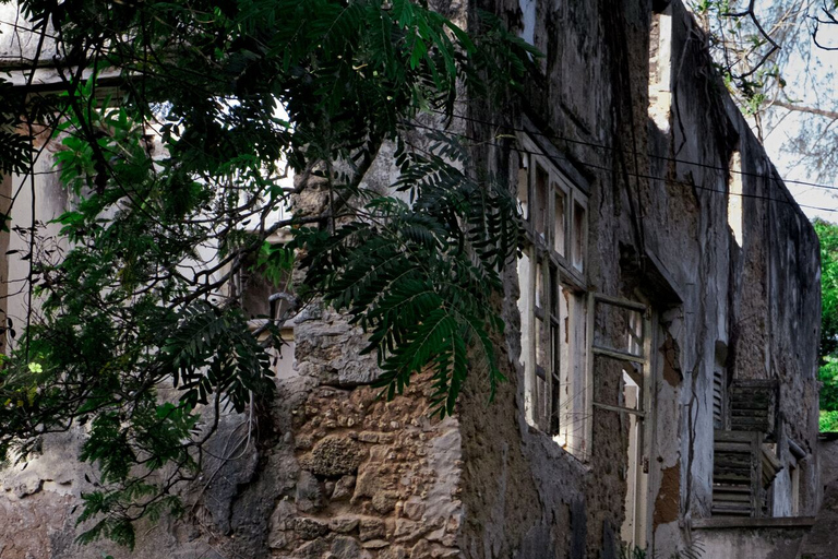 Bagamoyo: Explore Historic Slave Trade Route & Kaole Ruins