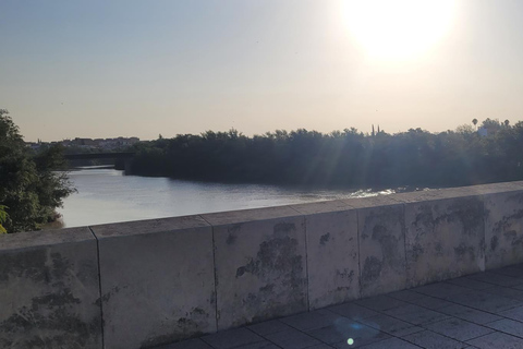 Córdoba Mid-Morning Walk - Small Groups, Native English.