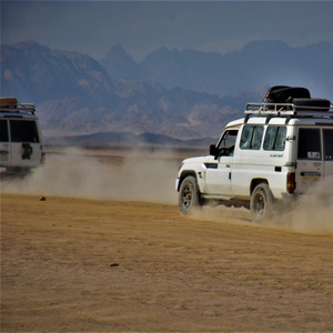 Hurghada Desert Safari with Camel Ride & Dinner Show