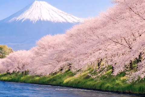 Tokyo: Mount Fuji & Pagoda & Oshino Hakkai & Lake Kawaguchi Route B : Mount Fuji & Hakone Private Customizable Day Trip
