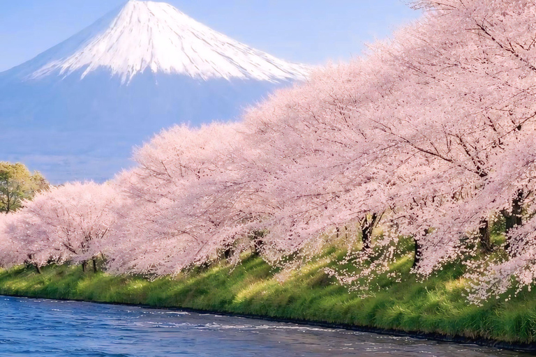 Tokyo: Mount Fuji & Pagoda & Oshino Hakkai & Lake Kawaguchi Route B : Mount Fuji & Hakone Private Customizable Day Trip
