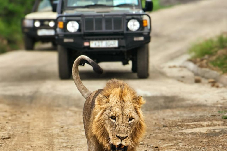 Nairobi: Sunrise Safari with Bush Breakfast At NNP