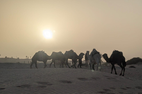 bivouac dans le desert