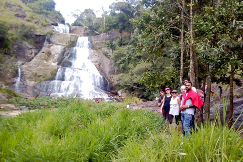 Esplora le cascate iconiche di Ella con un&#039;avventura panoramica in tuk-tuk