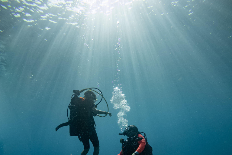 Fethiye: Daily Scuba Diving Experience w/ Hotel Pick-up