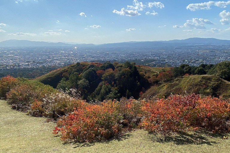 Nara: Mt. Wakakusa Family Picnic Trail with Guide