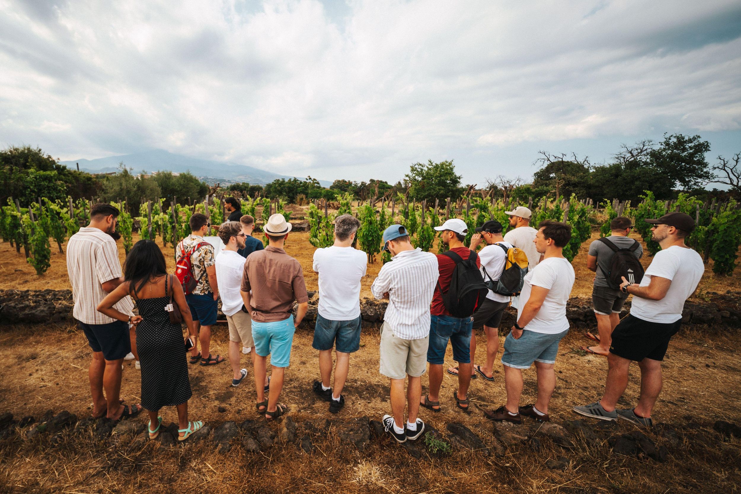 Etna Urban Winery, Weinbergspaziergang & Verkostungsdinner bei Sonnenuntergang