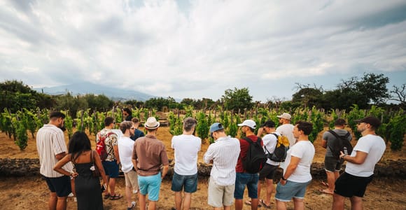 Etna Urban Winery: Vineyard Walk with Sunset Tasting Dinner