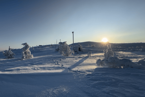 Levi: Private Snowshoe Walk with Tesla Pickup & Drink
